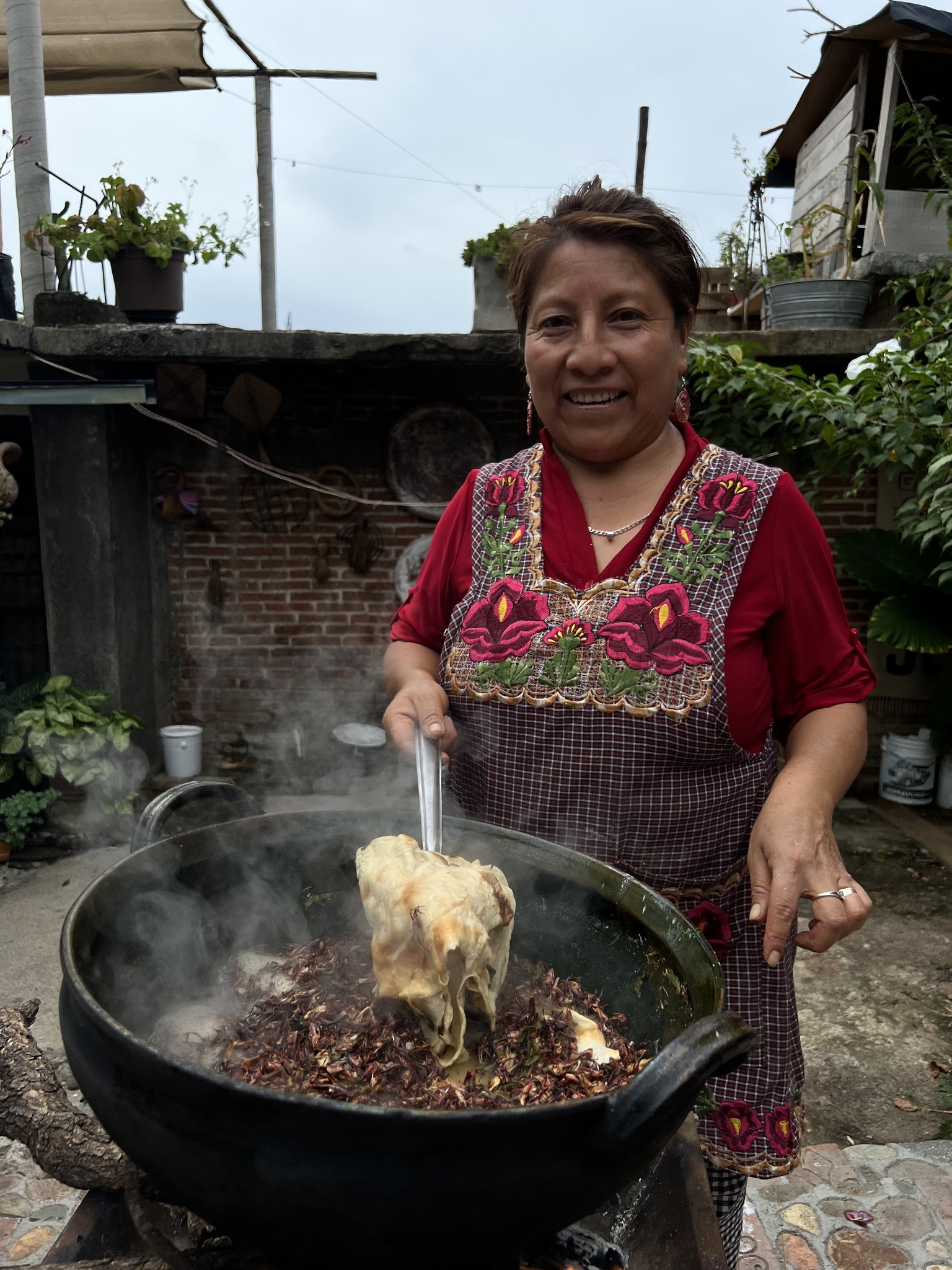 Ingredientes orgánicos listos para una clase de cocina tradicional zapoteca